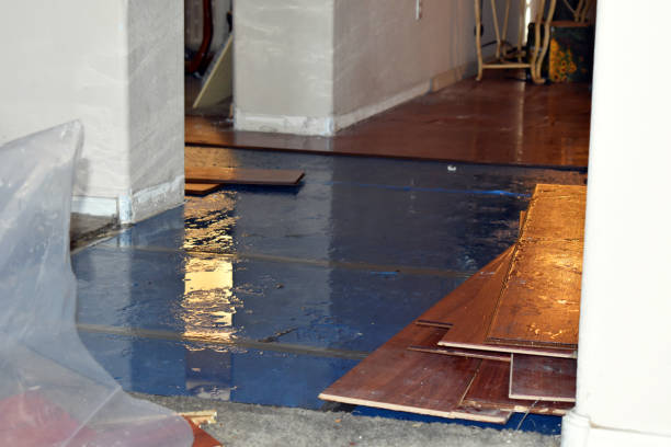 Professional Sewage Cleanup technician working in Emmett, MI
