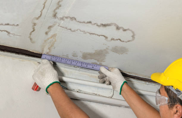 Reliable Sewage Cleanup contractor in Emmett, MI by Water Damage Irwin